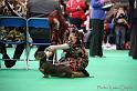 Crufts2011_2 1138